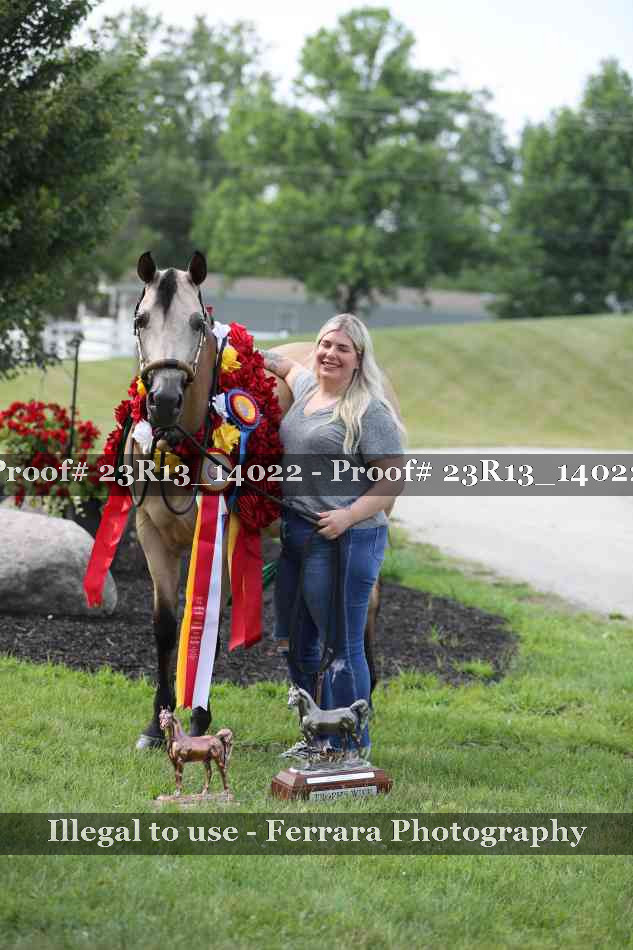 Proof Number 23R13_14022
